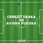 cerezo-osaka-v-avispa-fukoka-j-league