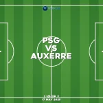 psg-v-auxerre-ligue-1